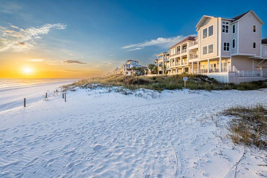 5 Entries — Starter Pack