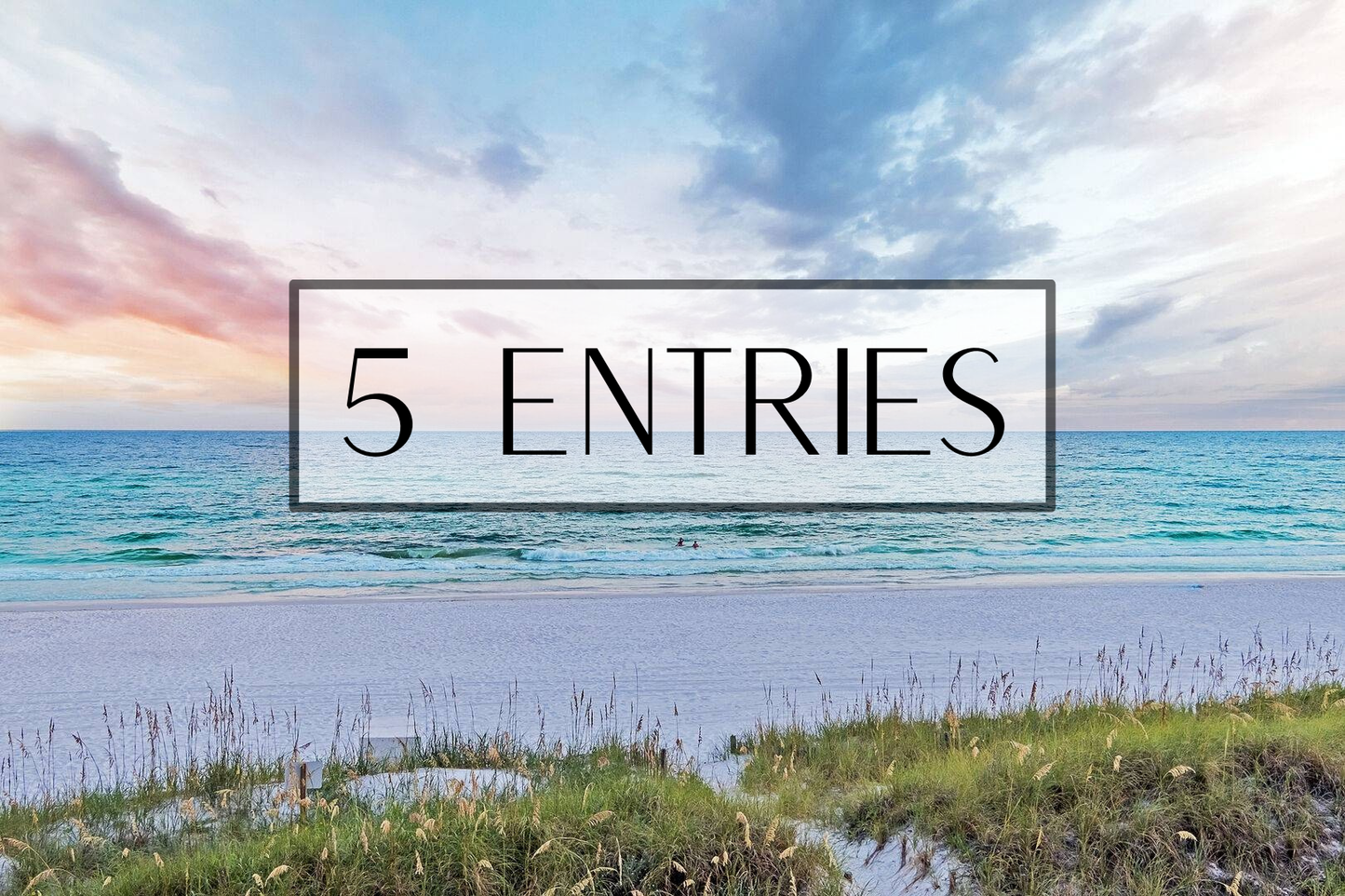 5 Entries — Starter Pack