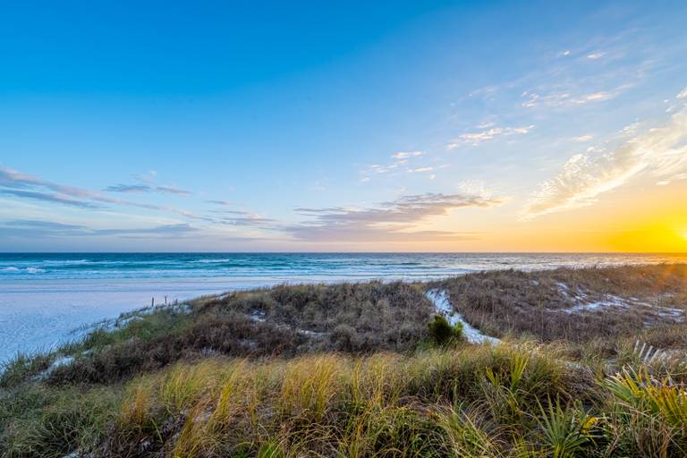 250 Entries — VIP Access